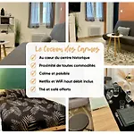Le Cocon Des Carmes - Hypercentre